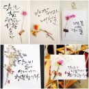 플라워와 기초캘리 이미지