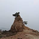 섬에게 묻다 이미지
