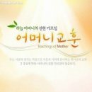 온양정화 Daum카페