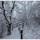 무지개오름 제171차 소백산 비로봉 1,439m(눈꽃산행)산행 신청(2018.01.21) 이미지