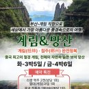 진에어투어