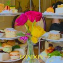 칸델라 | 런던 여행 일정 가볼만한 곳 칸델라 티룸 예약방법 런던 애프터눈티 후기 Candella Tea Room