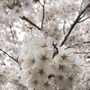 하얀달다방