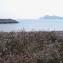 지리해수욕장 이미지