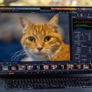 Fitness 6.3 이미지