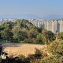 숭의과학기술고등학교 운동장 네이버블로그