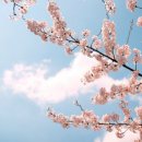 울랄라뷰티 이미지