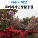 우산제9어린이공원(별빛) | 제주도 비오는날 휴애리 자연생활공원 입장료 소요시간