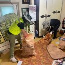 클린하우스 이미지