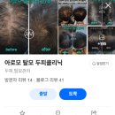 아로모탈모두피클리닉