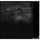 가다정한의원 이미지