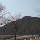 무주읍100 이미지