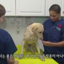 아낌없이주는나무 이미지