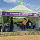 (주)지원미디어랩 교수신문