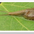 솔뫼농장 이미지