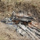 우리손 영암농장 이미지