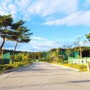 태장체육단지 이미지