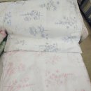 풍기인견 이미지