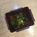 바로식자재총판 | 열무김치 여름에 잘 어울리는 시원한 한 끼, 식자재총판 아이엘미르 후기
