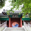 순천-48호 이미지