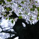 가시나무공원 이미지