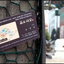 쎄시봉식당 - 대덕구 비래동 | 쎄시봉식당