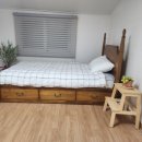 스테이 릴리 이미지