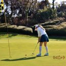 테디벨리 이미지