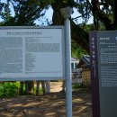 종오정 | 경주 종오정 베롱나무 연꽃 사진 찍기 좋은 곳