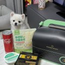 푸라닭 고추마요 치킨 내돈내산 후기