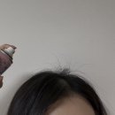 머리만들기 Daum카페