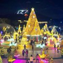 체험·먹거리·공연까지 45일 내내 이어지는 겨울빛축제 이미지