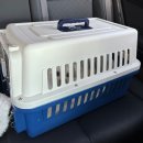 여주켄넬 이미지