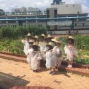 분당구청 이미지