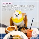불티나닭갈비 | 부천 애견동반 식당 레오스토랑 | 펫룸 있는 파스타 맛집