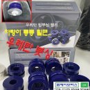젤리스프링 이미지