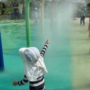 별솔공원 이미지