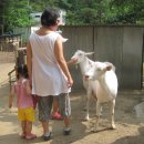 산양농장 이미지