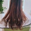 플랜에이치 내포신도시점 네이버블로그