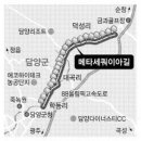 군청 메타세콰이어길 이미지