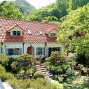 들안길애견펜션 이미지