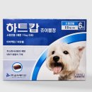 엔젤세이버 이미지
