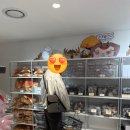 디자인스킨센트럴시티점 | 부드라미 팝업스토어ㅣ고터 센트럴시티, 안아줘요 인형, 웨이팅 대기 꿀팁
