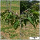 마룡농장 이미지