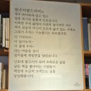 밤수지맨드라미 | 제주도 독립 서점 추천 : 우도 밤수지맨드라미