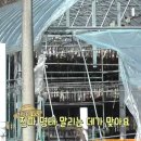 청정하모니협동조합