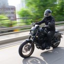 사진으로 본 새로운 세상 이미지