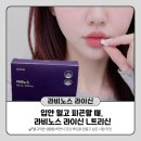 팔도건강식품 | 입안 헐고 피곤할 때, 조선팔도건강소 라비노스 라이신 L트리신 후기 ⭐추천