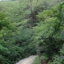 인왕산자락 이야기길 이미지