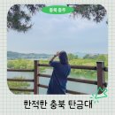 충북 부분정비 | 충북 충주 가볼만한곳 탄금대 전망 좋은 카페까지